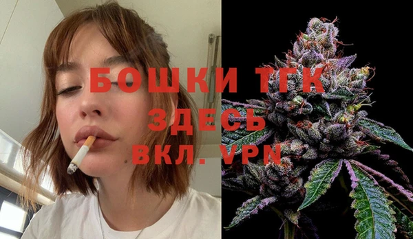 mdpv Богородск