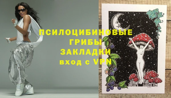 прущая мука Богородицк