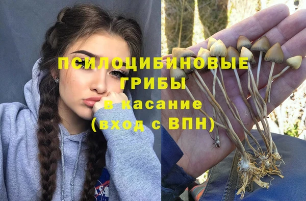 прущая мука Богородицк