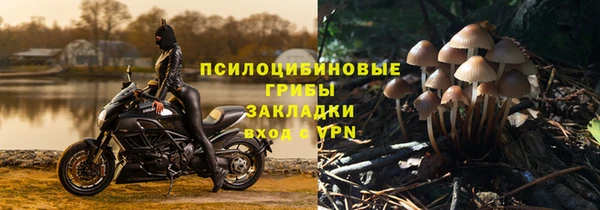 марки lsd Богданович