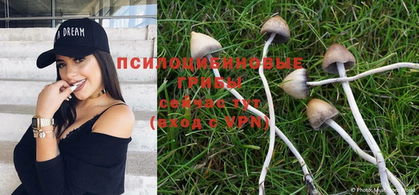 прущая мука Богородицк