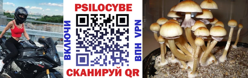 даркнет Telegram  Дзержинский  Галлюциногенные грибы GOLDEN TEACHER 