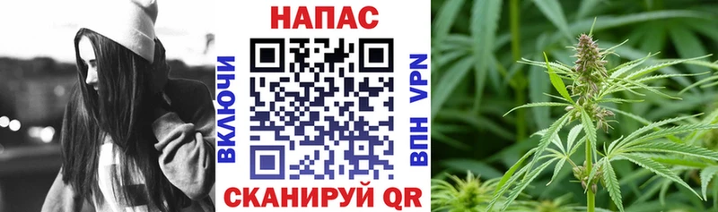 Шишки марихуана ГИДРОПОН  купить закладку  Дзержинский 